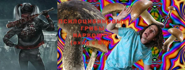 ешки Армянск