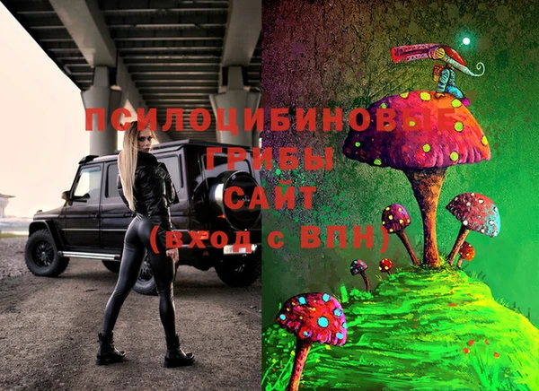 ешки Армянск